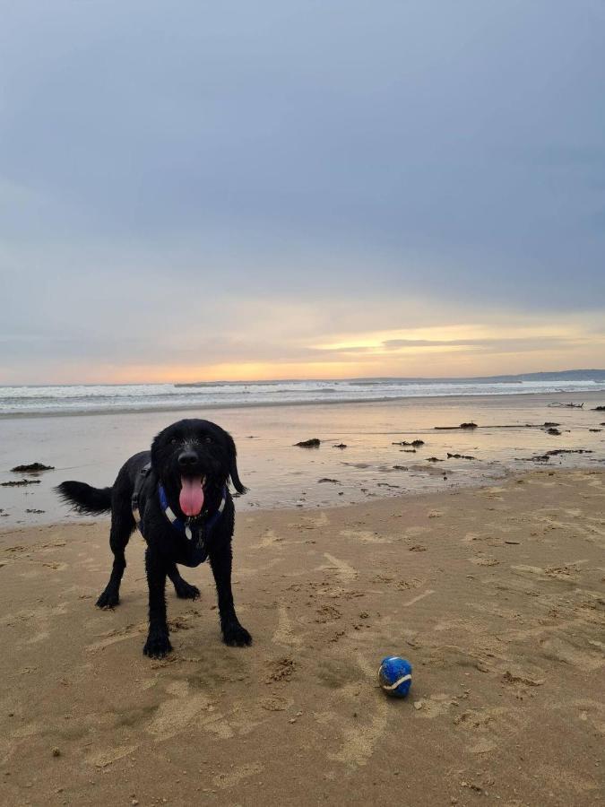 Old Road Cottage Pet Friendly Outdoors Beaches Neath Exterior foto